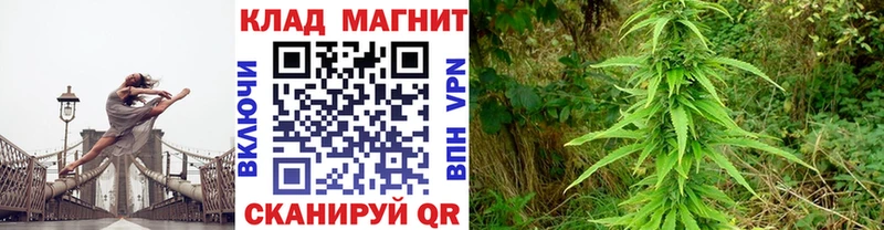 Купить закладку A PVP  Мефедрон  Кетамин  Бошки Шишки  Cocaine  ГАШИШ  Кимовск