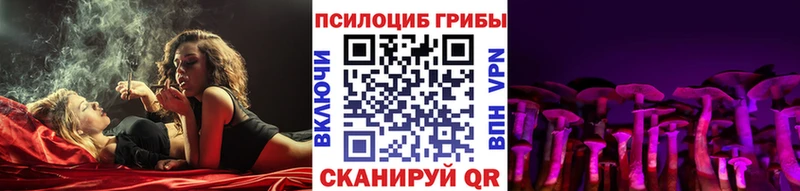 Галлюциногенные грибы мицелий  Купить где  Кимовск 